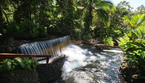 Arenal Volcano Walk & Tabacon Hot Springs Costa Rica