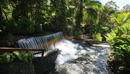 2 in 1 Volcano Hike and Tabacon Hot Springs photo 2