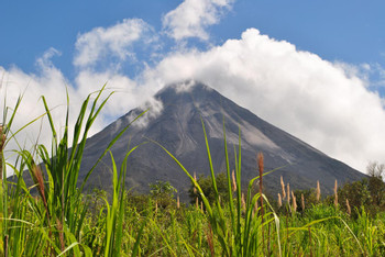 2 in 1 Volcano Hike and Tabacon Hot Springs photo 3