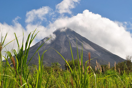 2 in 1 Volcano Hike and Tabacon Hot Springs photo 3
