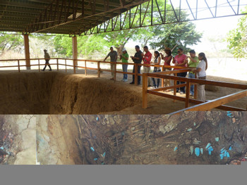 The Best Things to do in Playa Blanca, Panama