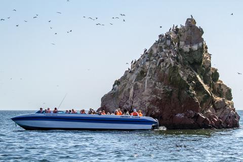 Excursión en barco por las Islas Ballestas