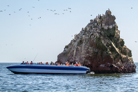 Ballestas Islands Boat Excursion