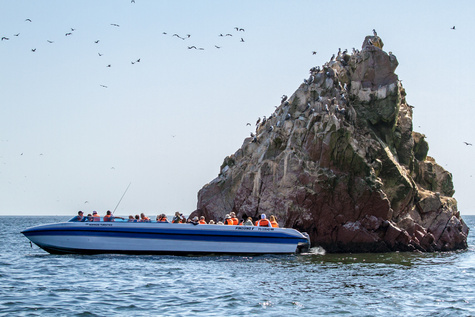 Ballestas Islands Boat Excursion