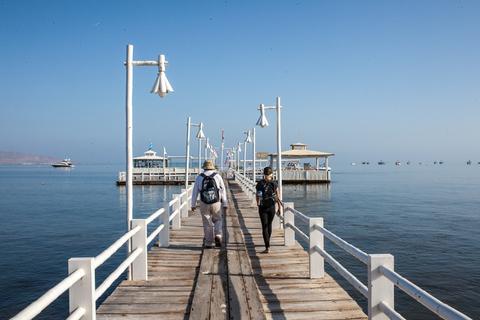 Ballestas Islands Boat Excursion Peru