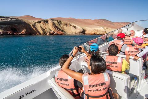 Ballestas Islands Boat Excursion Peru