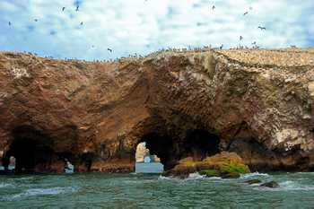 Ballestas Islands Boat Excursion