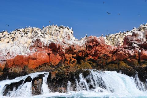 Excursión en barco por las Islas Ballestas