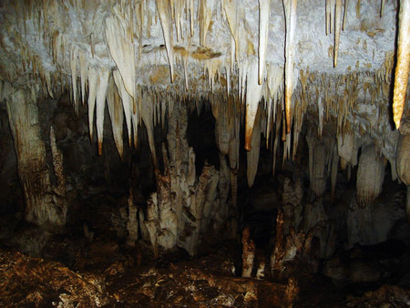 Barra Honda Caves photo 3