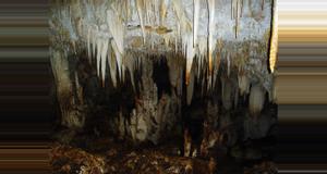 Costa Rica Expedición a las Cavernas de Barra Honda