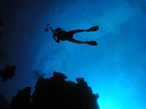 Barrier Reef Scuba Diving Belize Belize