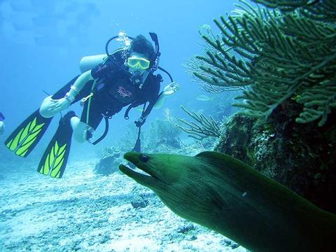 Buceo en el Sistema de Barreras del Arrecife de Belice