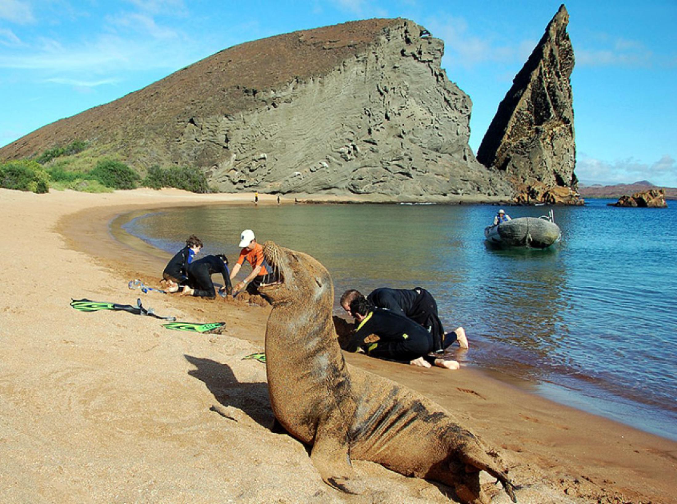 tour bartolome galapagos