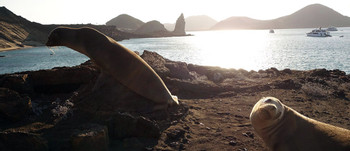 Bartolome Island Tour photo 3