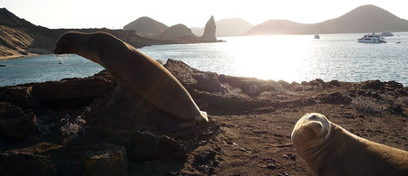 Bartolome Island Tour photo 3