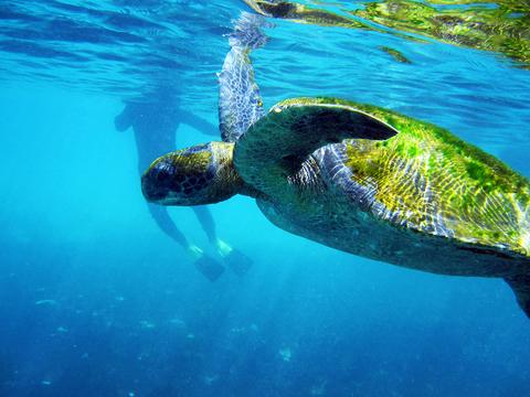 Bartolome Island Tour Ecuador