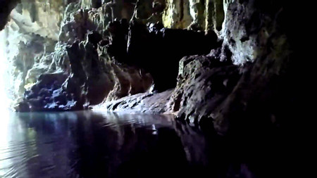 Barton Creek and Butterfly Farm Tour photo 3