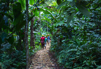 Bastimentos Sky Zip-Line Canopy Tour photo 5