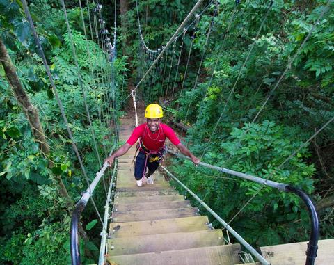 Bastimentos Sky Zip-Line Canopy Tour Panama