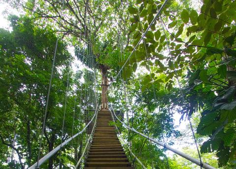 Bastimentos Sky Zip-Line Canopy Tour