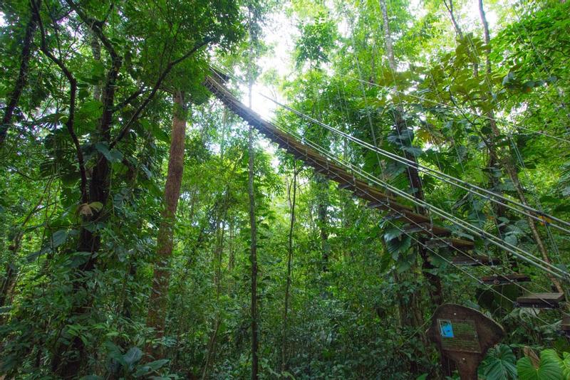 Bastimentos Sky ZipLine Canopy Tour, Bocas del Toro