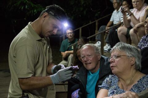 Programa de murciélagos