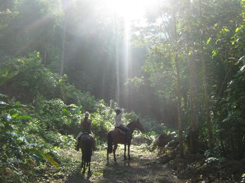 Jungle Spa Adventure Horseback 