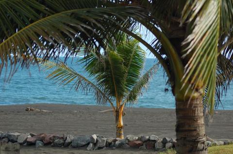 Beach and Nature One-Day Tour Guatemala