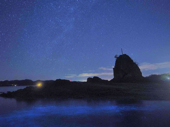 Tour de bioluminiscencia en kayak photo 4