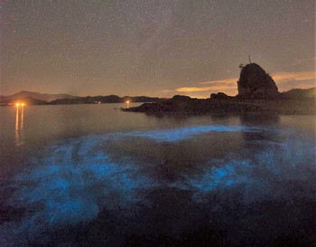 Tour de bioluminiscencia en kayak photo 5