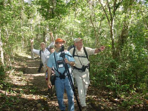 Tour Observación de Aves en Tikal Guatemala
