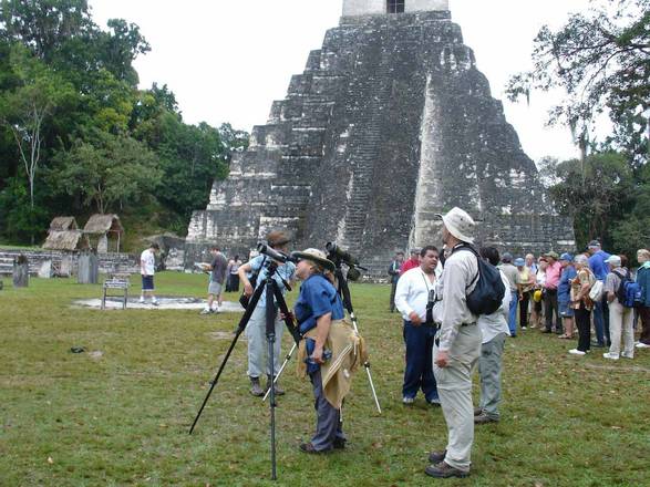 Birding Tour at Tikal, Guatemala