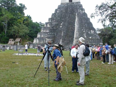 Tour Observación de Aves en Tikal