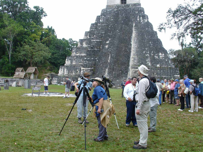 Tour Observación de Aves en Tikal Photo