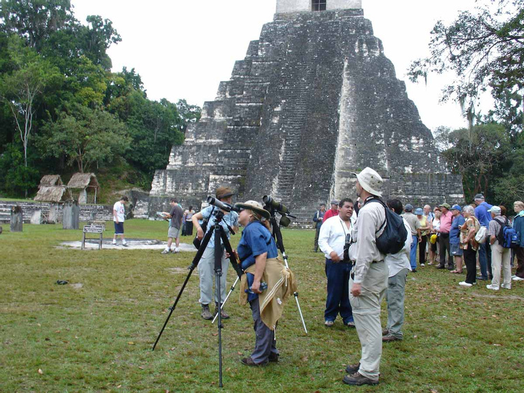 Tour Observación de Aves en Tikal photo