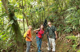 Tirimbina Birdwatching Tour