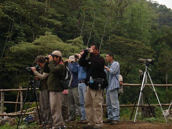 Birdwatching Antigua, Guatemala