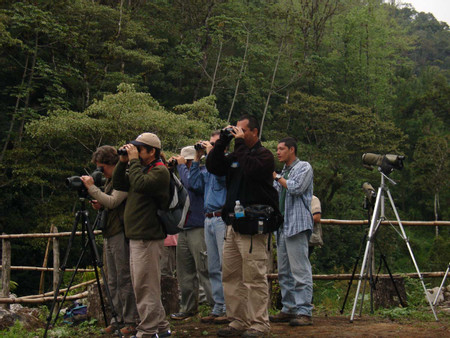 Birdwatching Antigua photo 2