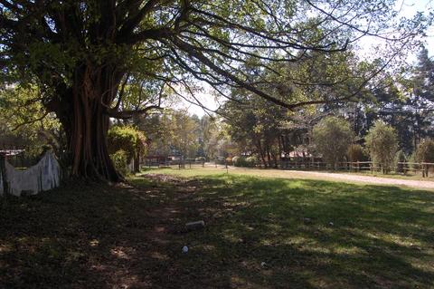 Observación de aves en finca San Santiago