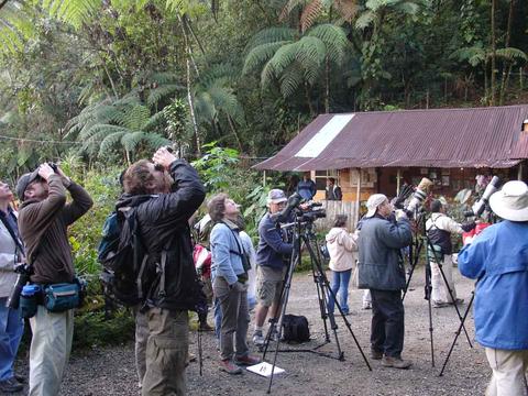 Birdwatching & Mountain Forest Walking