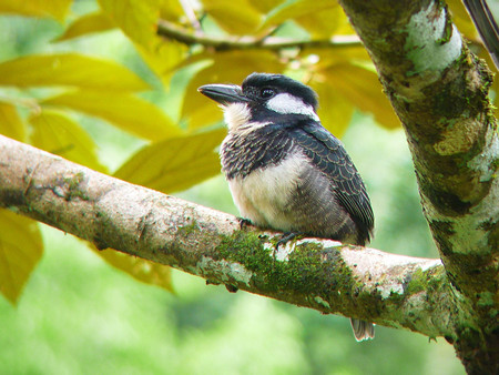 Bird Watching on Pipeline Road photo 3