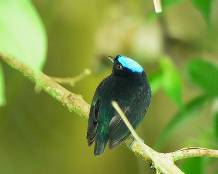 Bird Watching on Pipeline Road photo 2