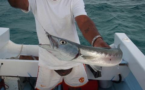 Tour de Pesca de Macabí Belize