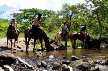 Borinquen Day Package: Zip lines and Horseback Riding tour photo 5