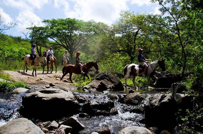 Borinquen Day Package: Zip lines and Horseback Riding tour, Costa Rica