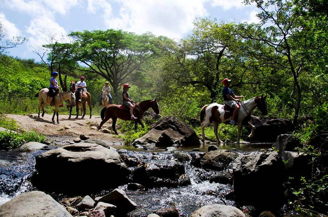 Borinquen Day Package: Zip lines and Horseback Riding tour photo