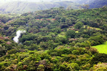 Borinquen Day Package: Zip lines and Horseback Riding tour photo 4