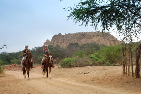 Bosque de Pomac and Sicán Museum Half-Day Tour