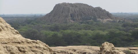 Bosque de Pomac y Museo Sicán- Tour de medio día Peru