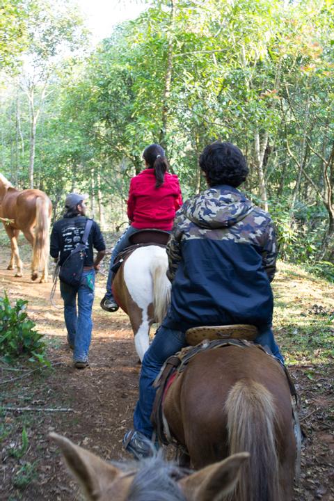 Breakfast & Horseback Ride Guatemala